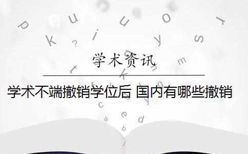 学术不端撤销学位后 国内有哪些撤销学位的案例？