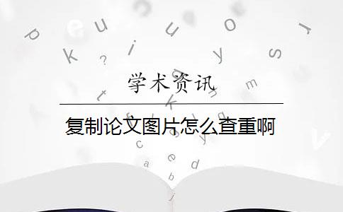 复制论文图片怎么查重啊