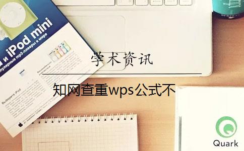 知网查重wps公式不