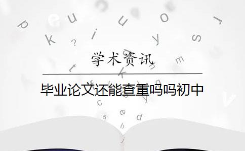 毕业论文还能查重吗吗初中