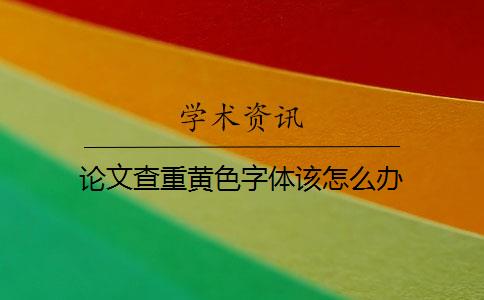 论文查重黄色字体该怎么办