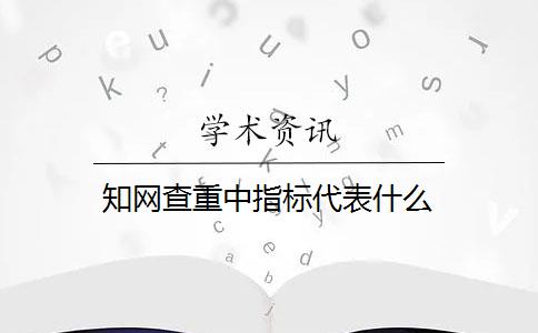 知网查重中指标代表什么