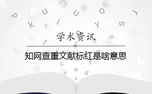 知网查重文献标红是啥意思