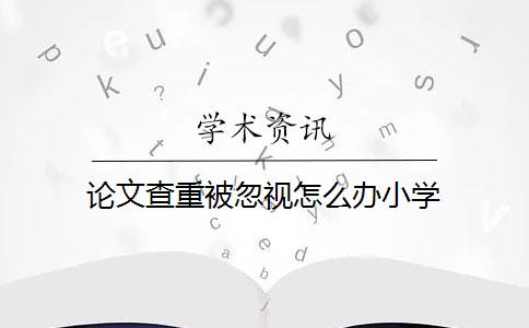 论文查重被忽视怎么办小学