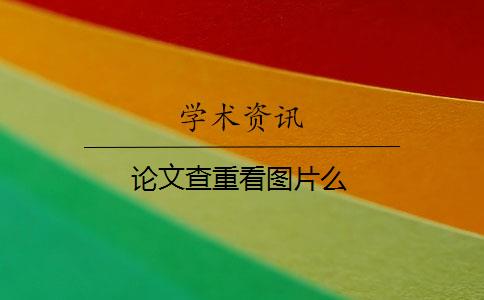 论文查重看图片么
