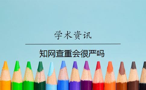 知网查重会很严吗