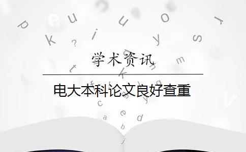 电大本科论文良好查重