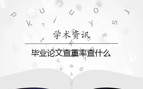 毕业论文查重率查什么