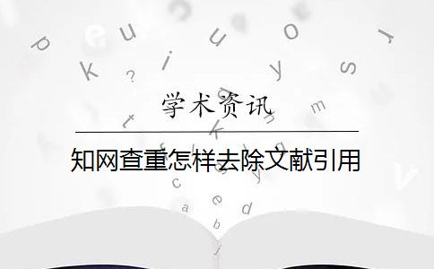 知网查重怎样去除文献引用