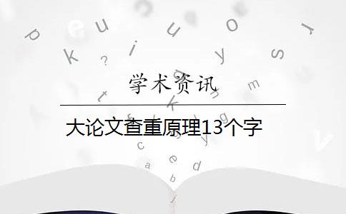 大论文查重原理13个字