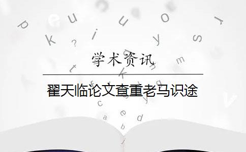 翟天临论文查重老马识途