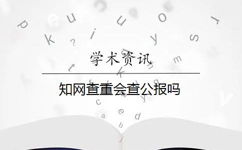 知网查重会查公报吗