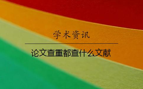 论文查重都查什么文献