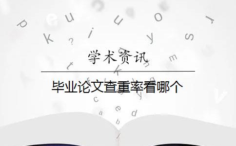 毕业论文查重率看哪个