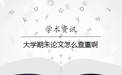 大学期末论文怎么查重啊