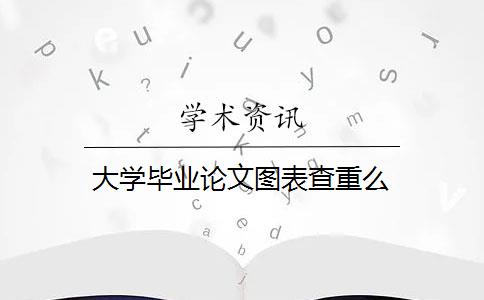 大学毕业论文图表查重么