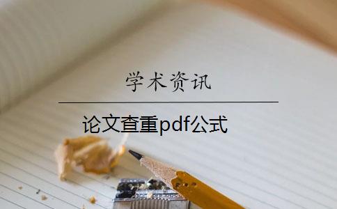 论文查重pdf公式