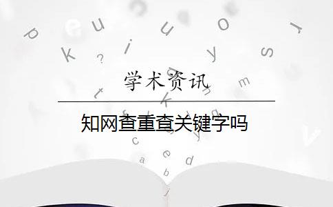 知网查重查关键字吗