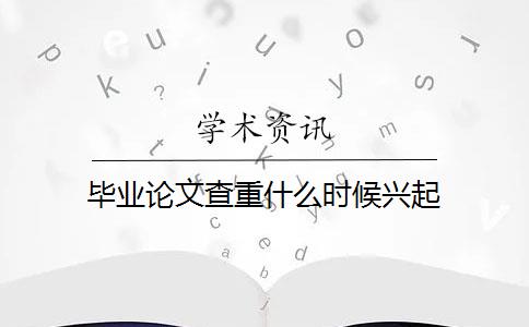 毕业论文查重什么时候兴起
