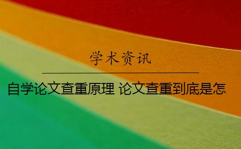 自学论文查重原理 论文查重到底是怎么查的？
