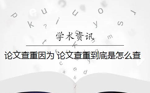 論文查重因?yàn)?論文查重到底是怎么查的？