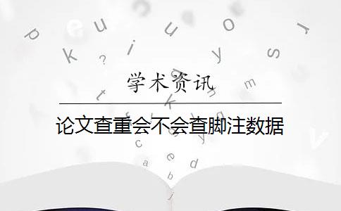 论文查重会不会查脚注数据