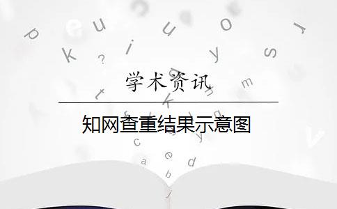 知网查重结果示意图