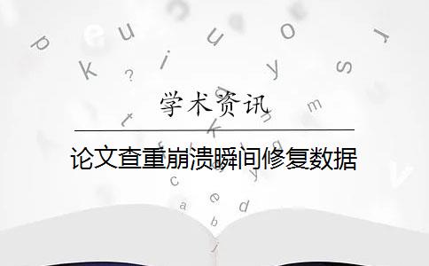 论文查重崩溃瞬间修复数据