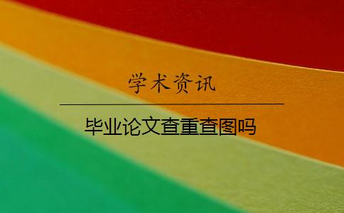 毕业论文查重查图吗