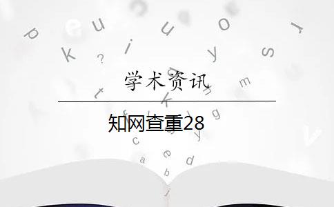 知网查重28