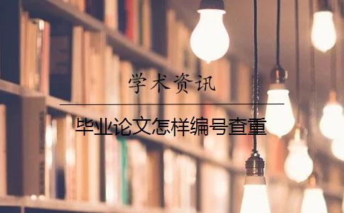 毕业论文怎样编号查重