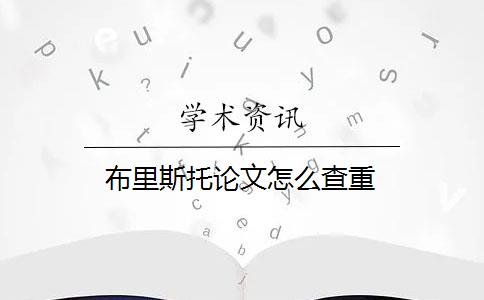 布里斯托论文怎么查重