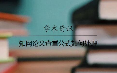 知網(wǎng)論文查重公式如何處理