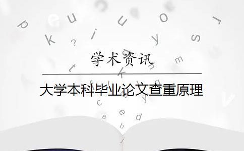 大学本科毕业论文查重原理