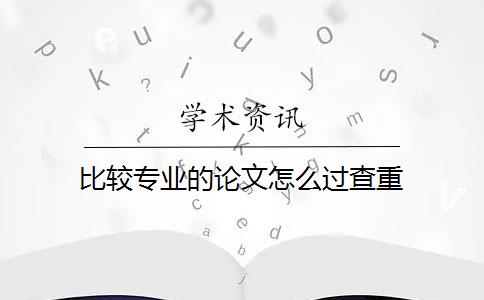 比较专业的论文怎么过查重