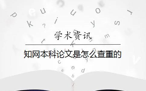 知网本科论文是怎么查重的