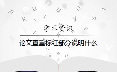 论文查重标红部分说明什么