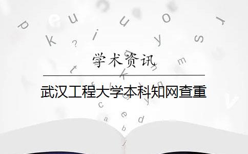 武汉工程大学本科知网查重