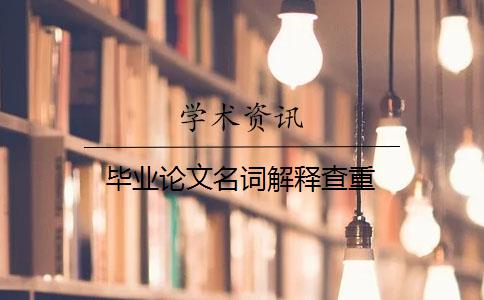 毕业论文名词解释查重