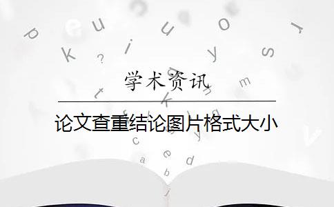 论文查重结论图片格式大小