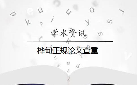 桦甸正规论文查重