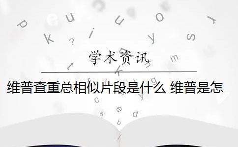 维普查重总相似片段是什么 维普是怎么查重的？