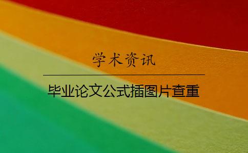 毕业论文公式插图片查重