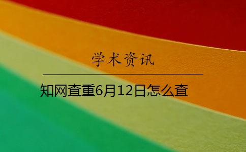 知网查重6月12日怎么查