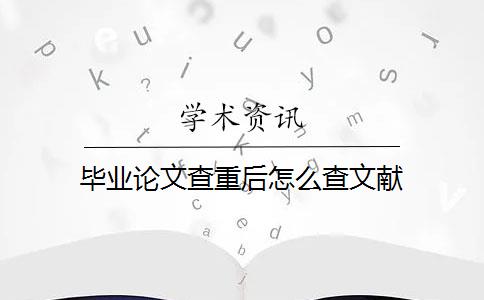 毕业论文查重后怎么查文献