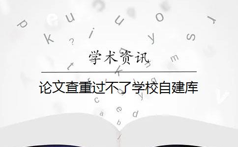 论文查重过不了学校自建库