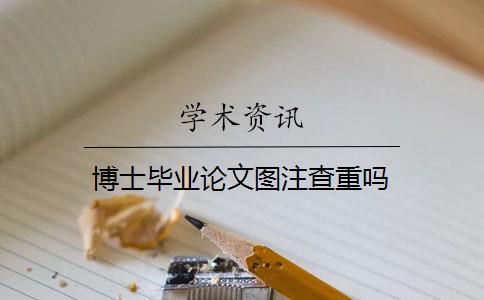 博士毕业论文图注查重吗 博士毕业论文图注查重吗
