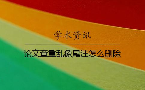 论文查重乱象尾注怎么删除