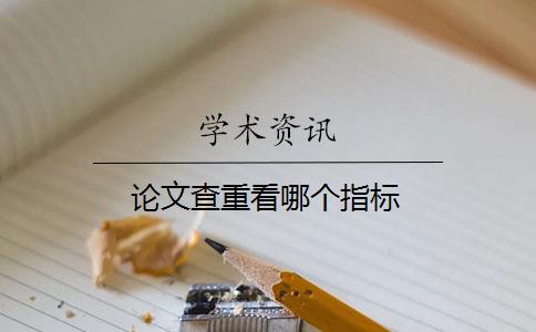 论文查重看哪个指标
