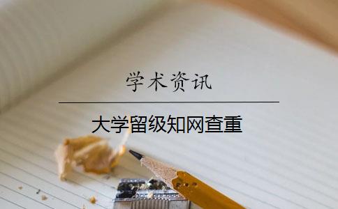 大学留级知网查重